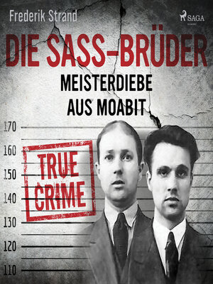 Die Sass-Brüder - Audiobook